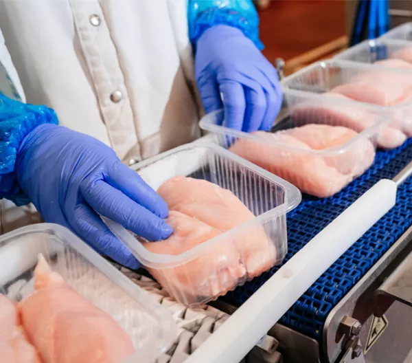 raw chicken in a processing plant