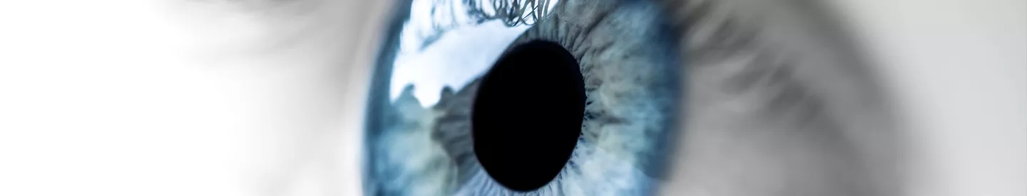 eye