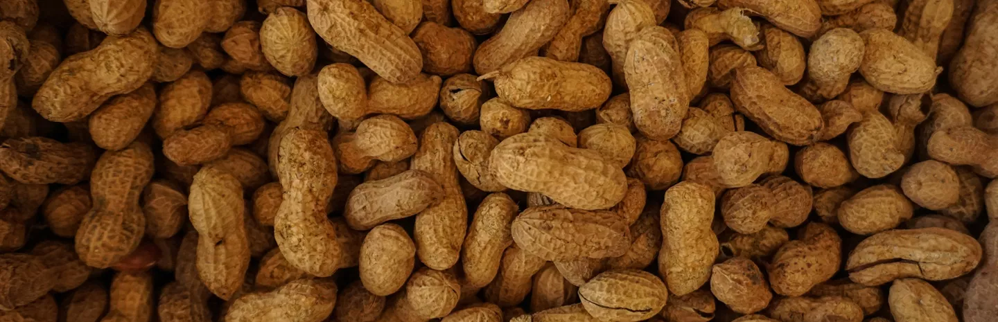 peanuts