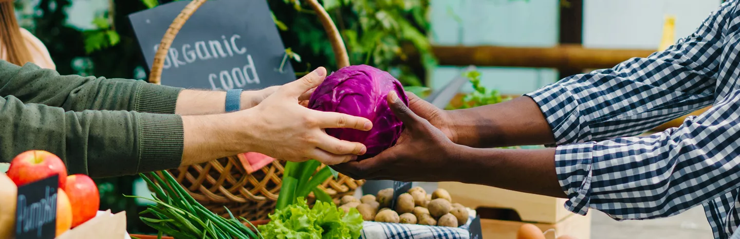 farmers market