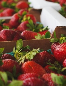 Seasonal produce - a closeup of carboard crates of strawberries for sale