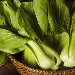 basket of baby bok choy