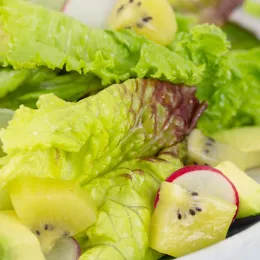 salad with lettuce, kiwi, avocado, and radish