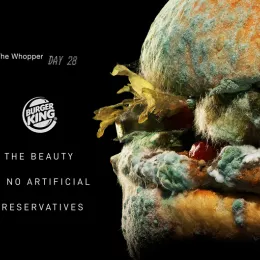 a moldy Burger King whopper