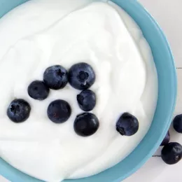 bowl of yogurt with blueberries