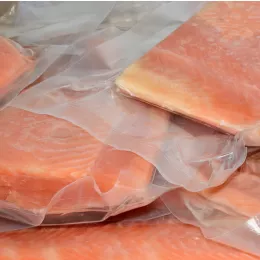 frozen salmon in vacuum-sealed plastic