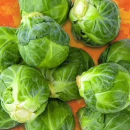 brussels sprouts