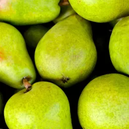 pears