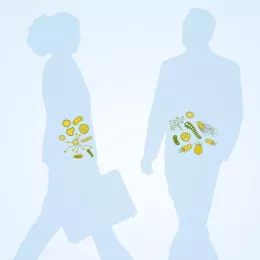 illustration of a man's and a woman's gut microbes