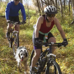 people biking with a dog