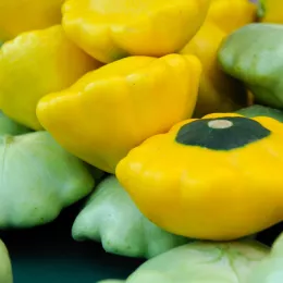 pattypans