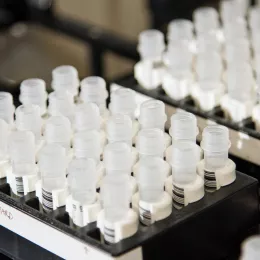 A tray of small plastic test tubes