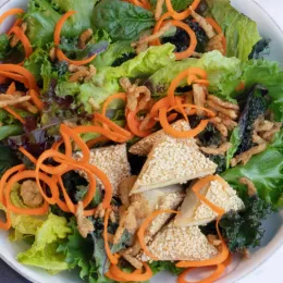 tofu with multicolored vegetables in bowl