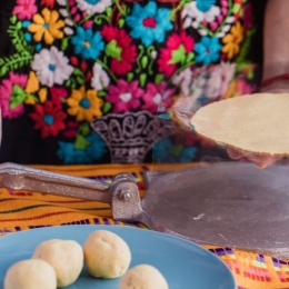 Tortilla press, testales (maize dough) and resulting tortillas. Process of making corn tortillas