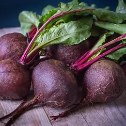 beets