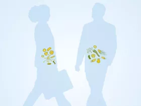 illustration of a man's and a woman's gut microbes