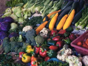 Produce on display for purchase