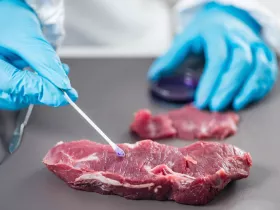 a meat inspector's hands and beef