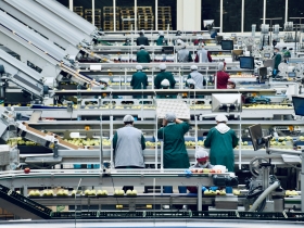 The interior of an apple processing facility