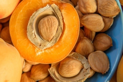 A halved apricot with exposed kernel in a bowl of apricot seeds and shells
