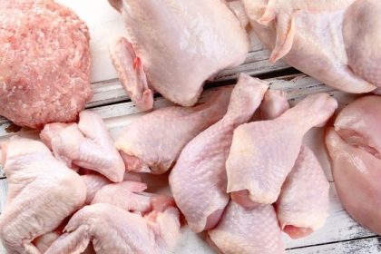 Raw chicken and poultry on a cutting board