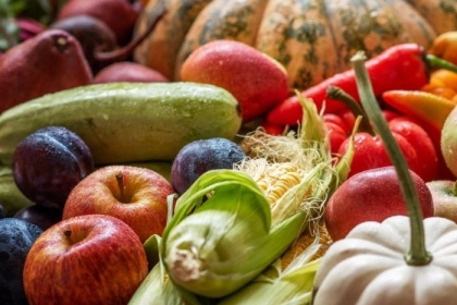 Seasonal produce - a variety of September produce, including apples, peppers, pumpkins, corn, and zucchini