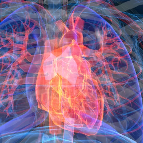 stylized image of a human heart