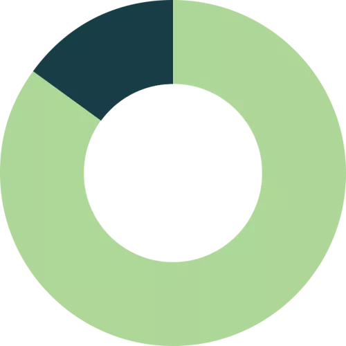 Pie chart: 85 percent