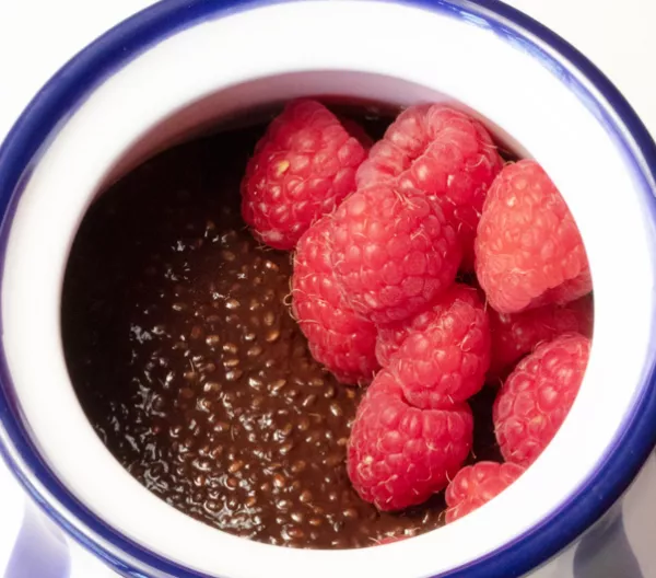 chocolate chia pudding