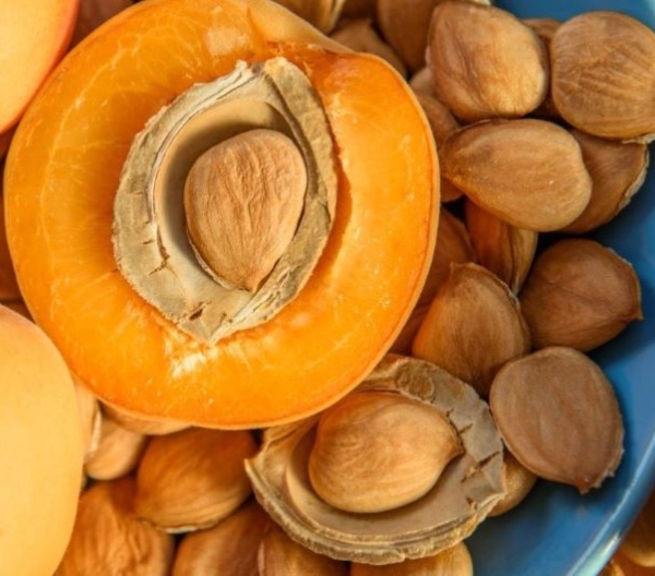 A halved apricot with exposed kernel in a bowl of apricot seeds and shells