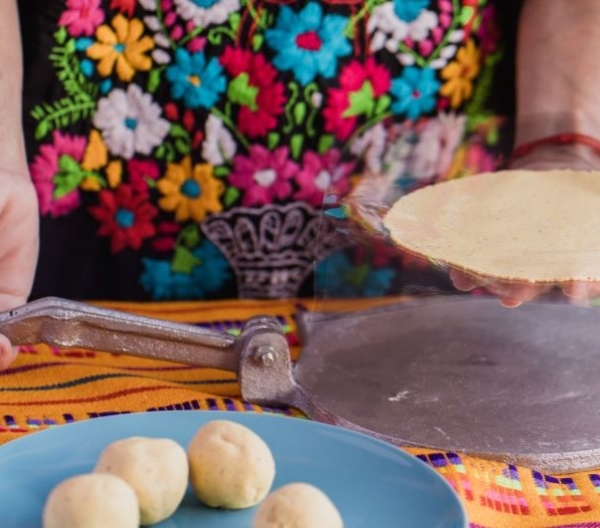 Tortilla press, testales (maize dough) and resulting tortillas. Process of making corn tortillas