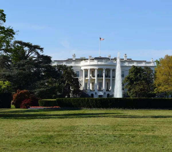 A picture of a large green lawn with the White House in the background