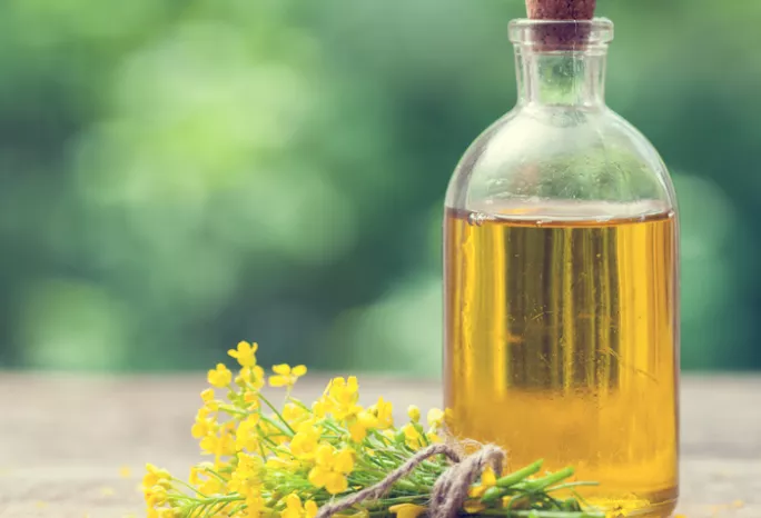 a bottle of canola oil