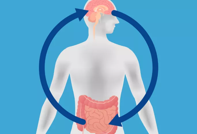 illustration of a human brain and gut