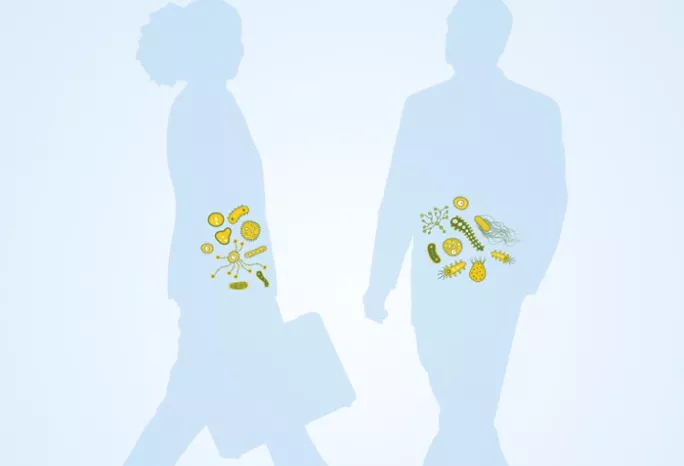 illustration of a man's and a woman's gut microbes