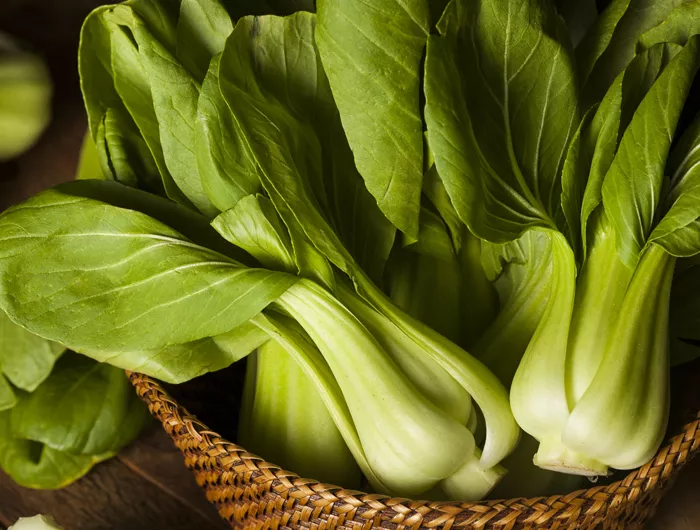 basket of baby bok choy