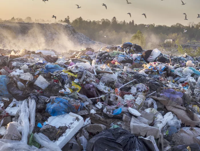 trash in landfill with birds flying overhead