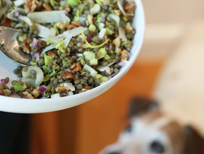 a bowl of crunchy lentil salad