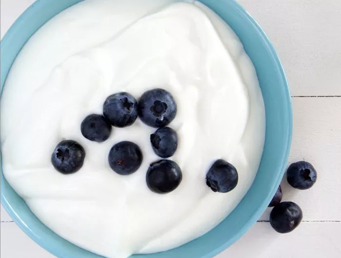 bowl of yogurt with blueberries