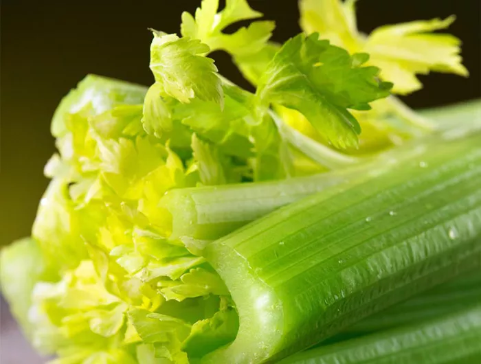 stalks of celery