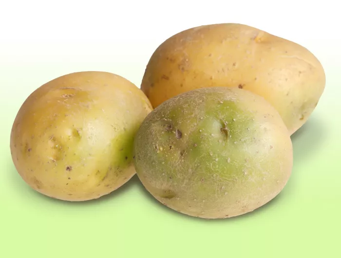 green potatoes