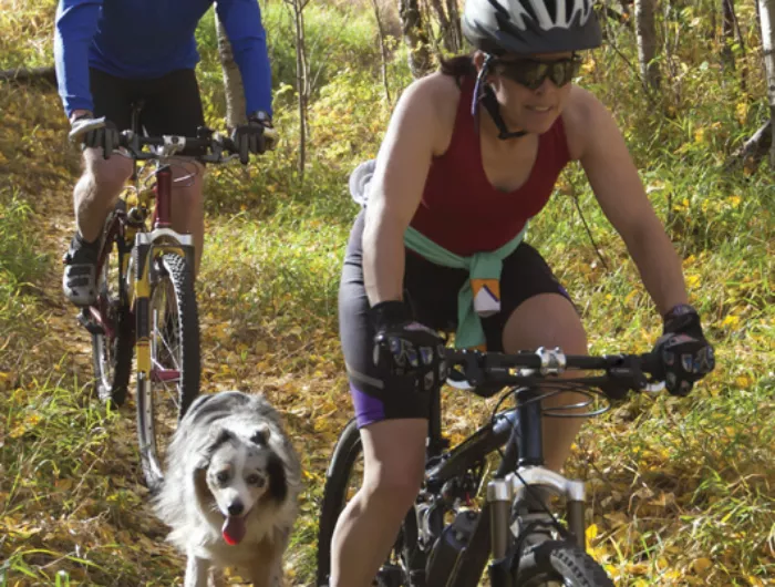 people biking with a dog