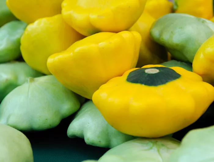 pattypans