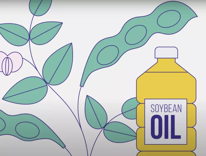 A still from FDA's video on GMOs: cartoon soybeans and a bottle labeled "soybean oil"