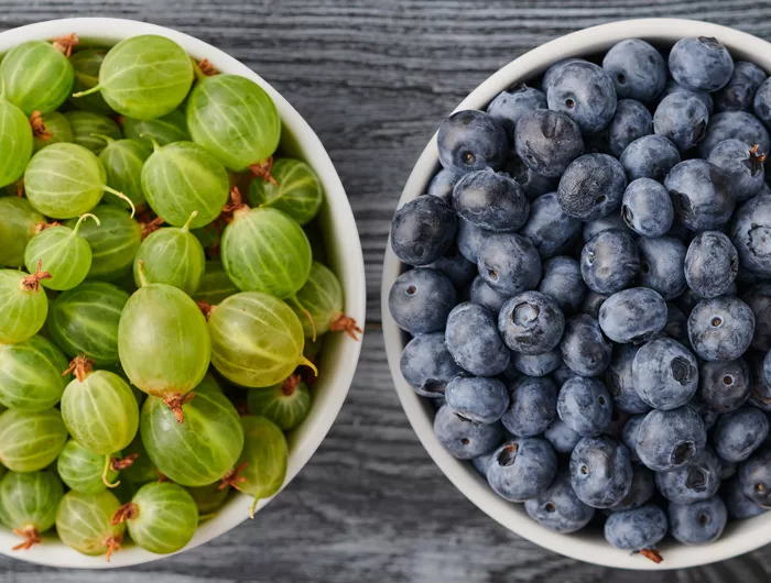 a bowl of gooseberries on the left and bowl of blueberries on the right