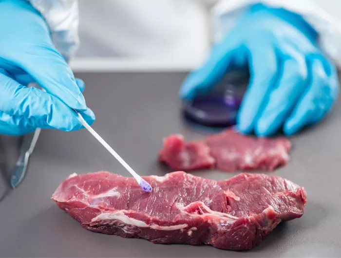 a meat inspector's hands and beef