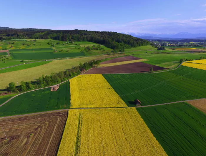 Bird's eye view of farmland