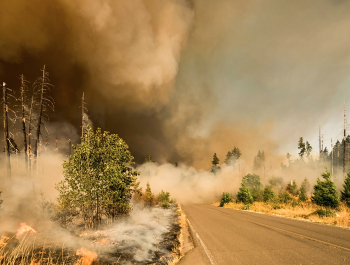 road surrounded by wildfire with sky filled with smoke