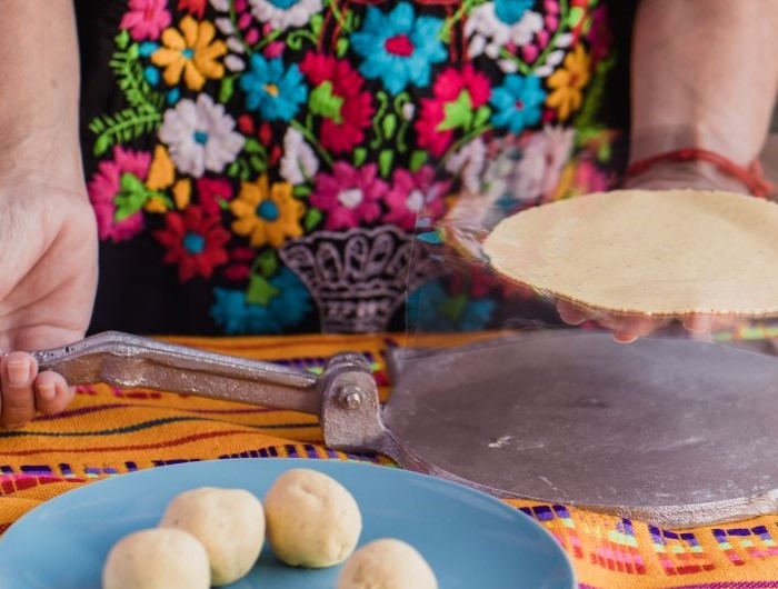 Tortilla press, testales (maize dough) and resulting tortillas. Process of making corn tortillas