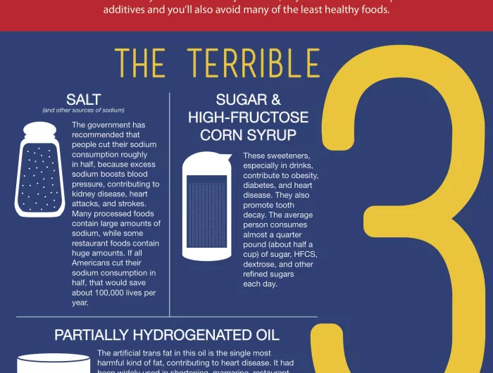 Food Additives Infographic